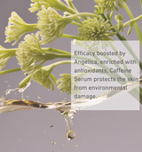 Bionnex The Nordea Brightening Caffeine Serum For The Eye Area